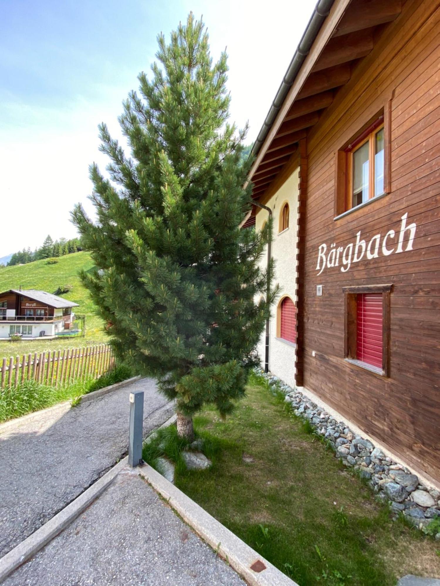 Sonnmatten Boutique Hotel & Apartments Zermatt Ngoại thất bức ảnh
