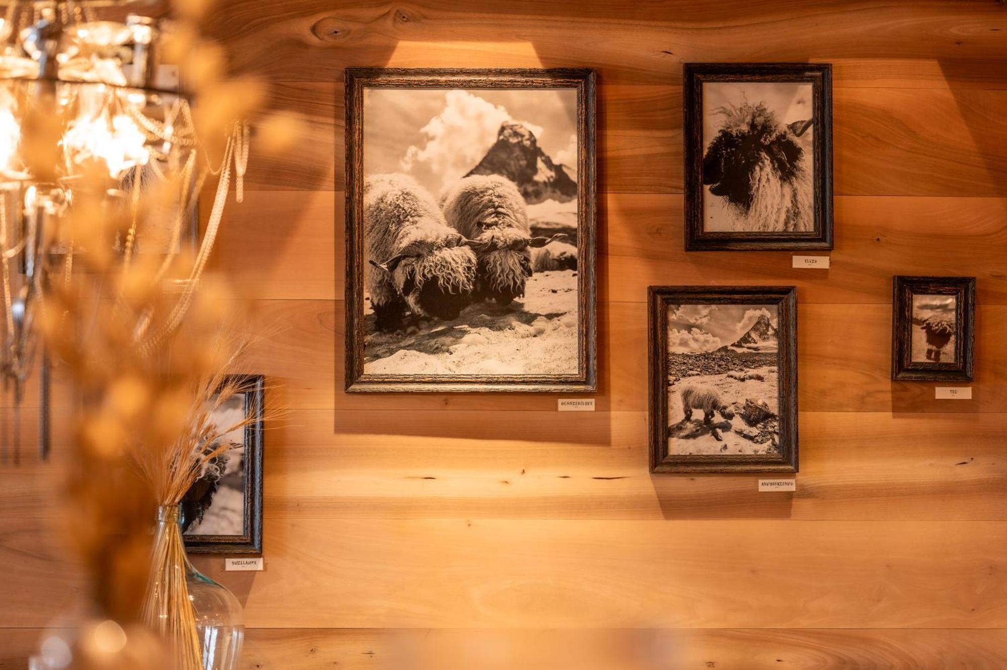 Sonnmatten Boutique Hotel & Apartments Zermatt Ngoại thất bức ảnh